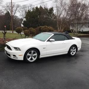 Meet your Posher, Rick